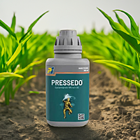 PRESSEDO PI Industries