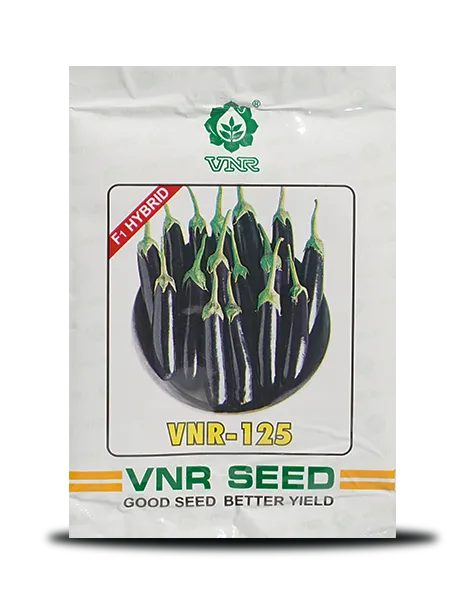 VNR 125 BRINJAL