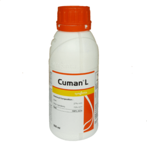 CUMAN L