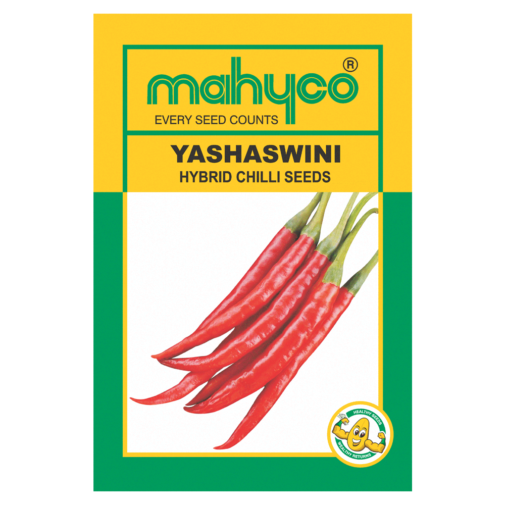 YASHASWINI CHILLI