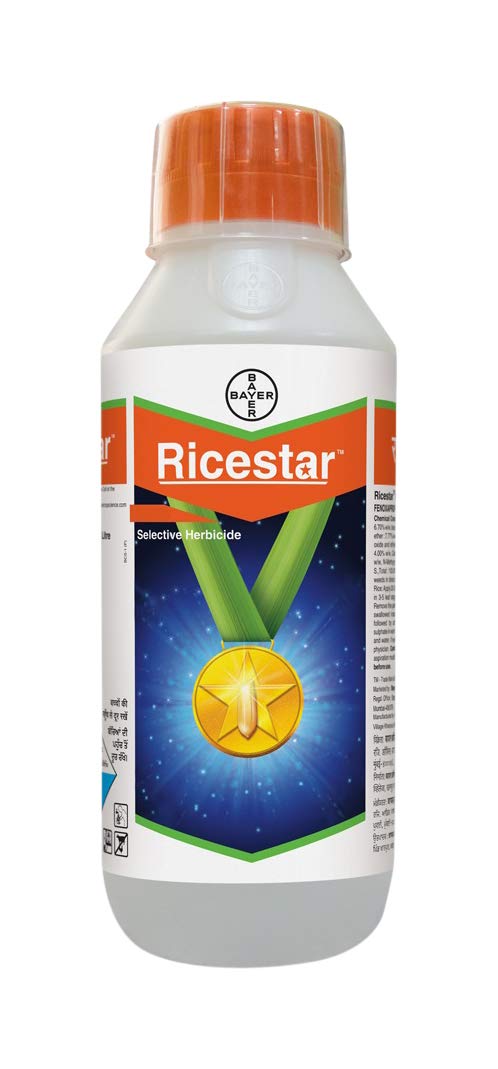 RICESTAR