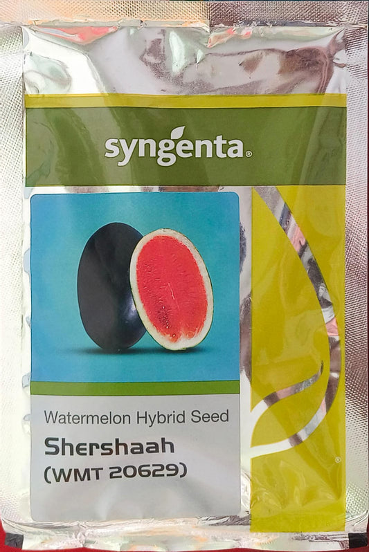 SYNGENTA SHERSHAAH ( WMT 20629) WATERMELON (1000 SEEDS)