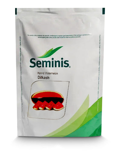 SEMINIS DILKASH  BAYER