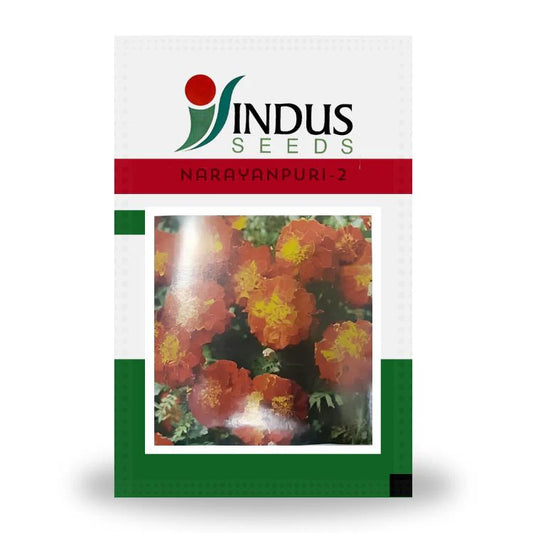 INDUS NARAYANPURI-2 BIJILEE SEEDS