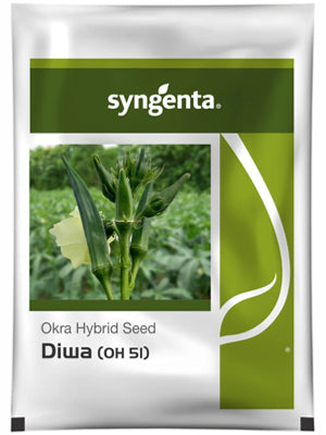 Syngenta Okra Diwa OH-51