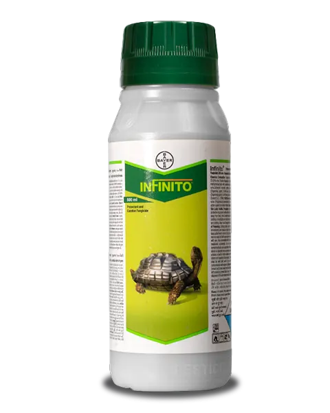 INFINITO FUNGICIDE