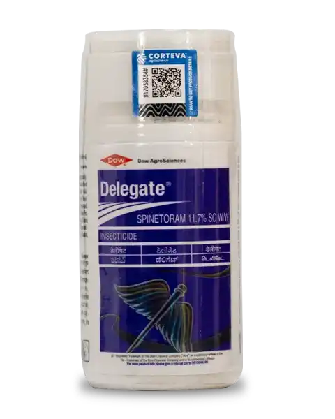 Delegate insecticide outlet