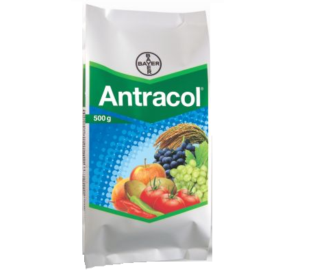 ANTRACOL