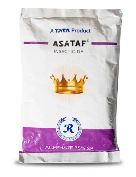 ASATAF INSECTICIDE