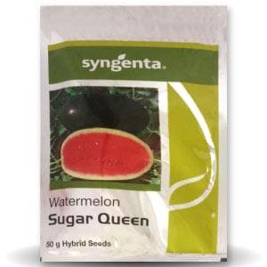 SUGAR QUEEN WATER MELON