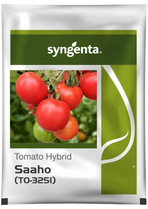 SAAHO TOMATO [TO-3251]