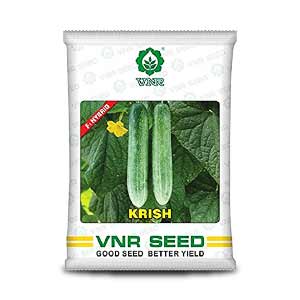 KRISH F1 CUCUMBER